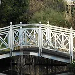 Specht Witten