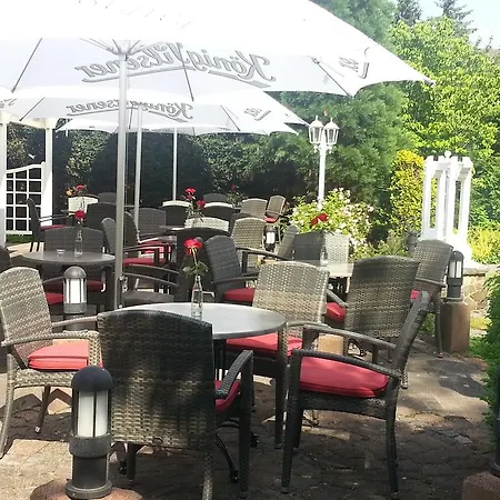 Specht 2* Witten