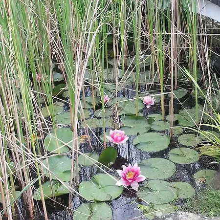 Specht Penzion Witten