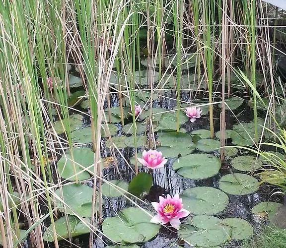 Specht Gasthuis Witten