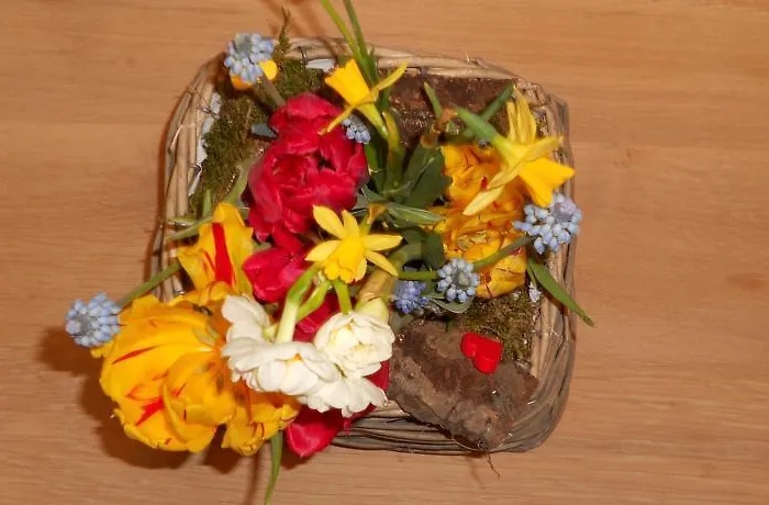 Specht Гостевой дом Виттен